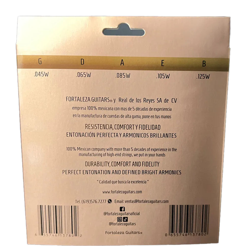 Fortaleza Bass Guitar Steel 5 Set